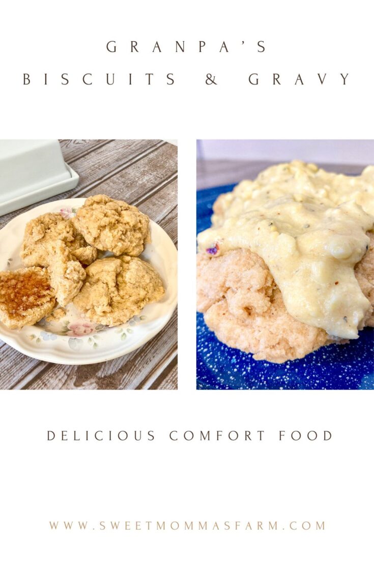 Picture of biscuits with a jam and another with gravy.