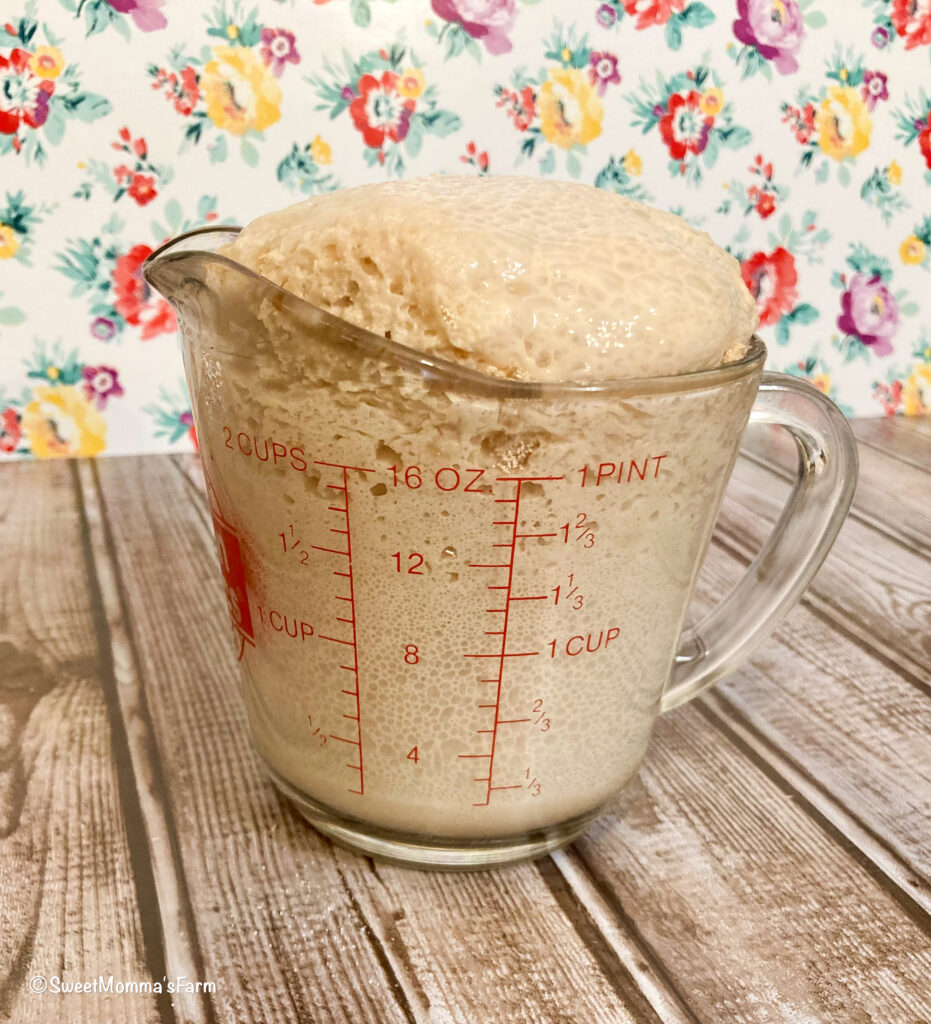 A 2 cup glass measuring cup with instant yeast mixture rising and bubbling over the top