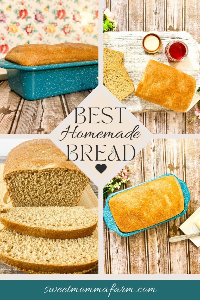 Cover with four pictures of bread loaves with the words best homemade bread