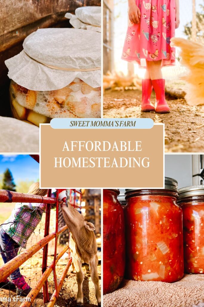Beginner-friendly ways to start a homestead on a budget