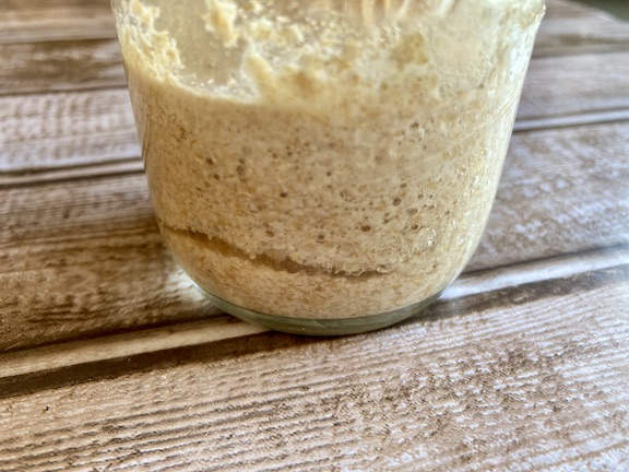 Day 3 of how to make natural yeast. The mixer is bubbly