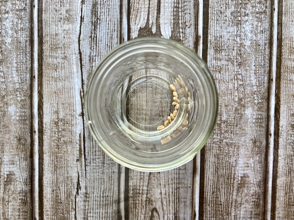 10 wheat grains in a small glass jar to start the process of natural yeast