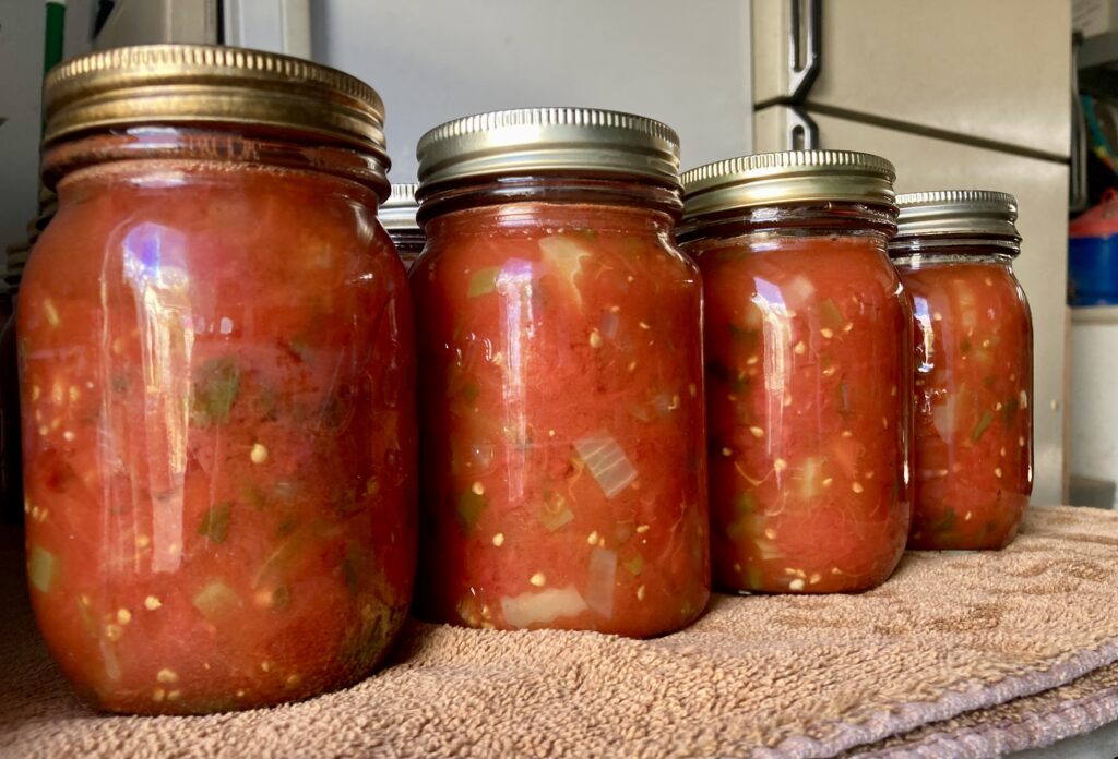 Freshly canned salsa
