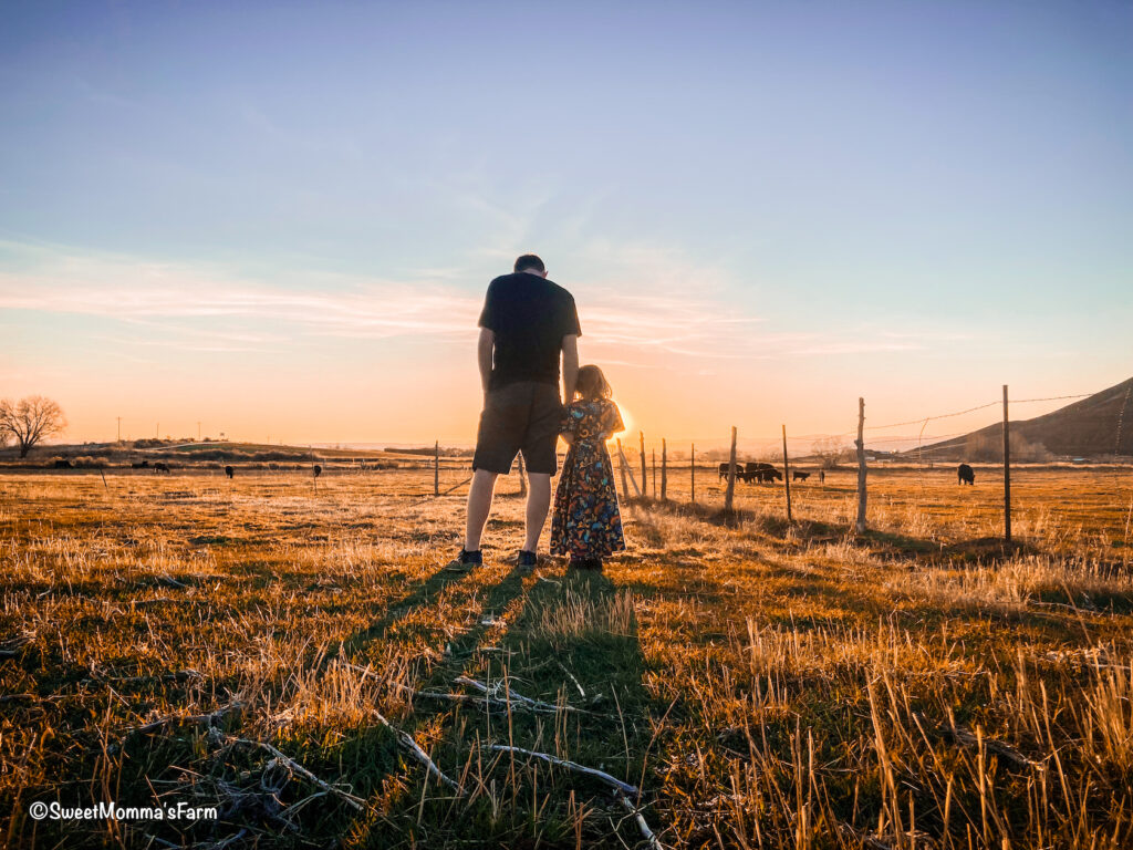 A father and daughter walking in a sheep pasture
