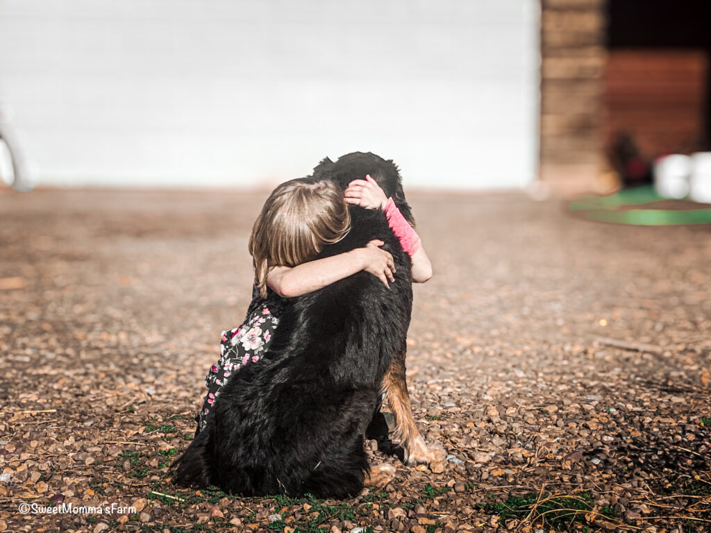 Little girl hugging a australian shepard dog representing faith family and freedom
