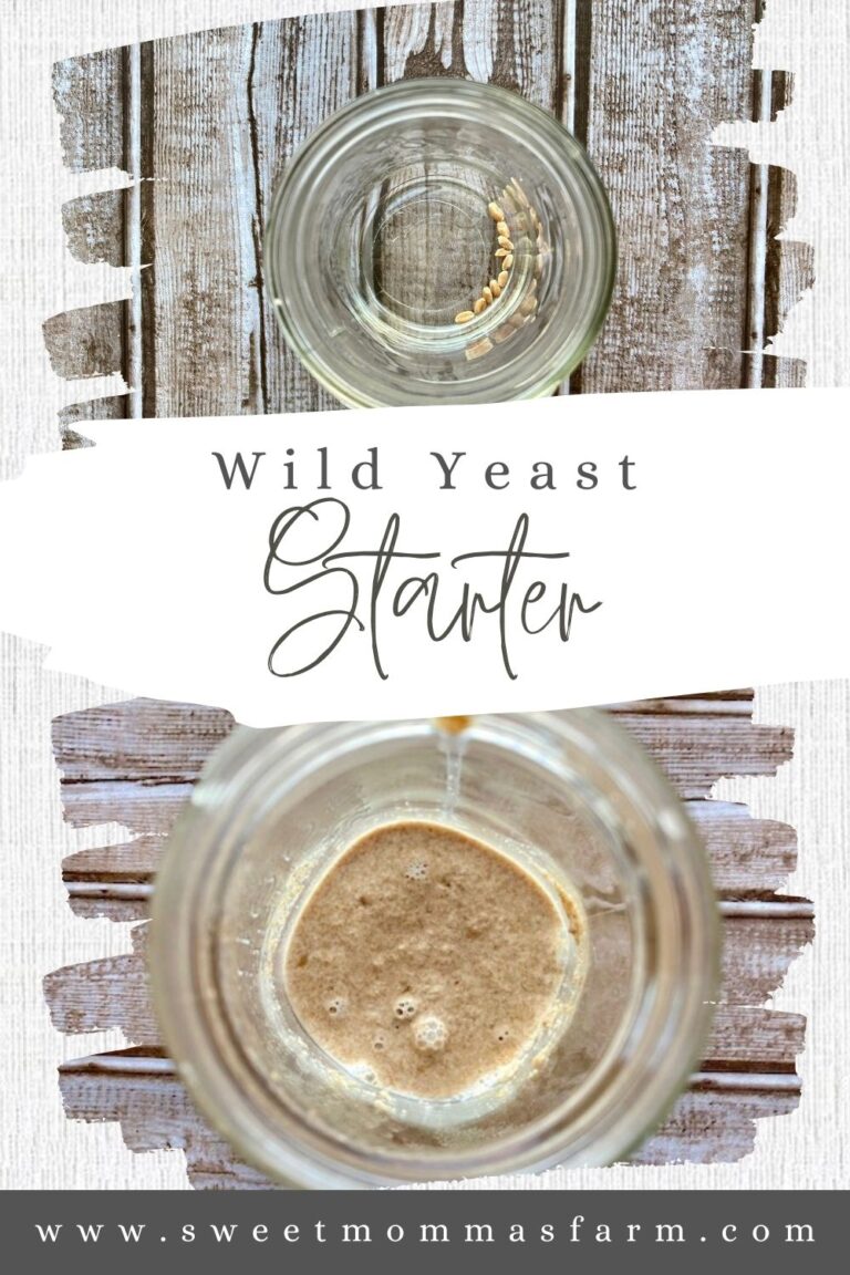 Picture of starting to make wild yeast or natural yeast start