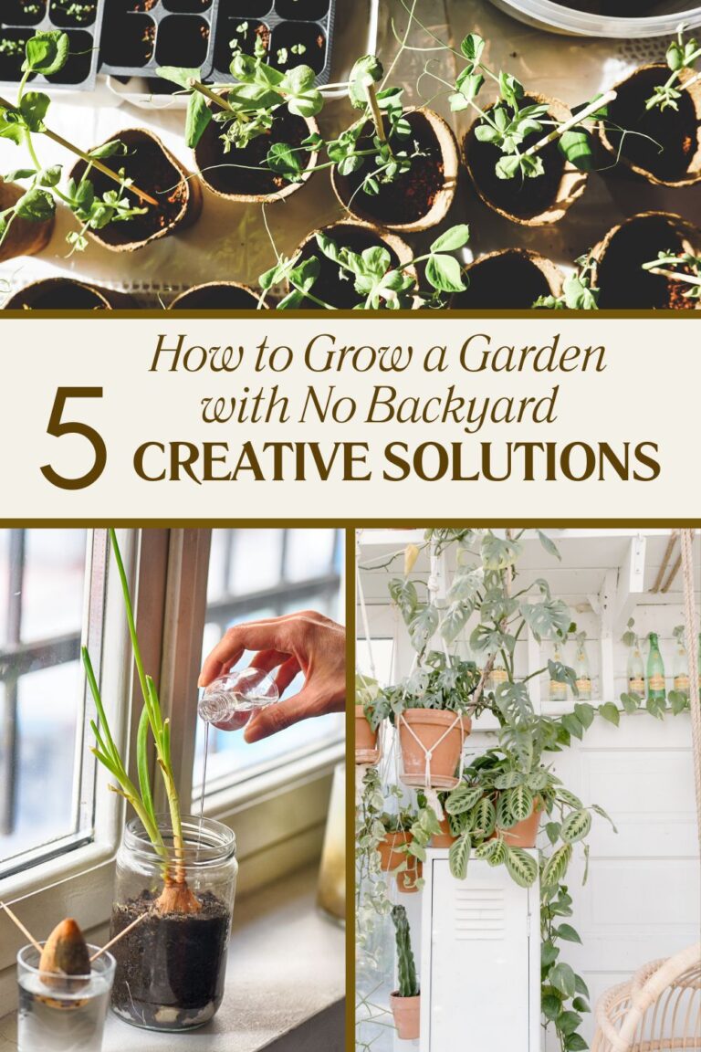 How to Grow a Garden with No Backyard: 5 Creative Solutions