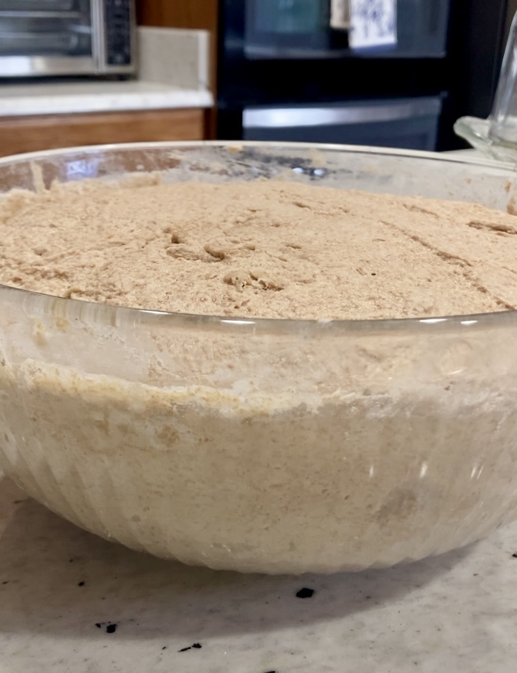 the first rise