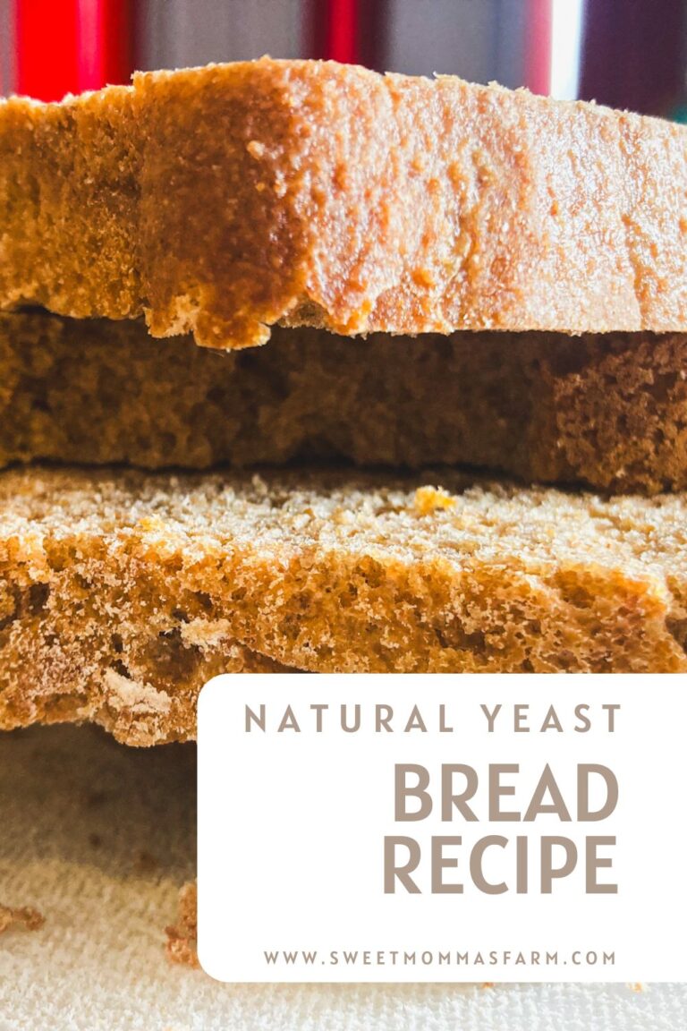Natural yeast bread