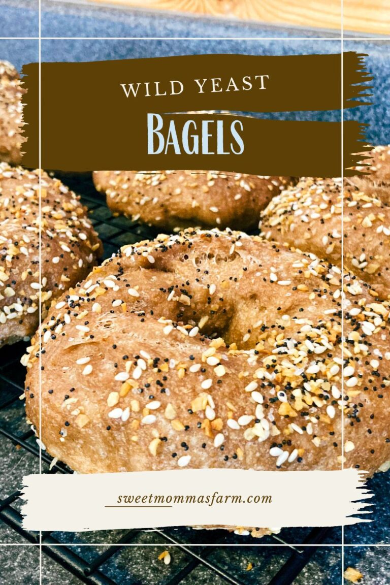 Natural Yeast bagels