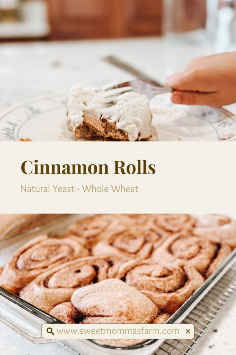 Natural Yeast Cinnamon Rolls