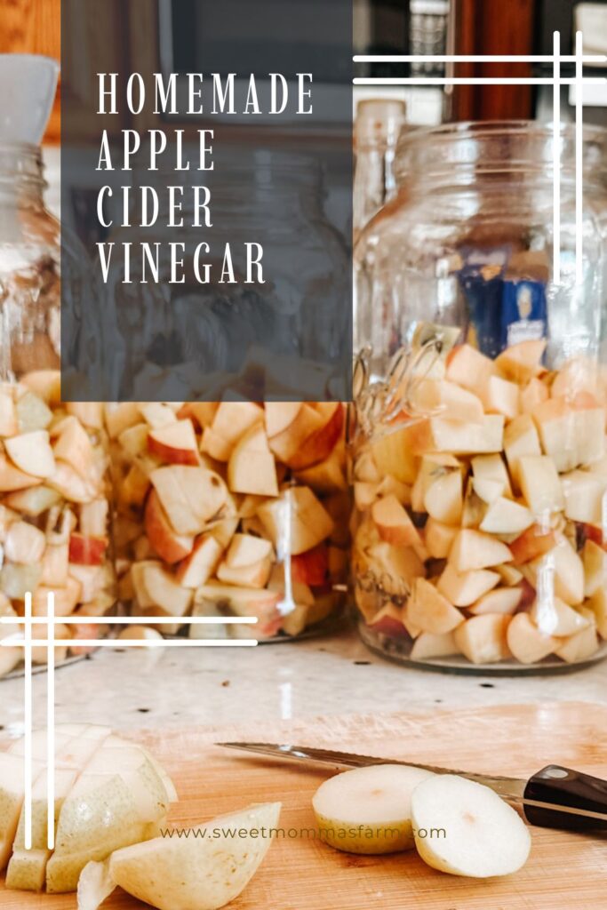 homemade apple cider vinegar