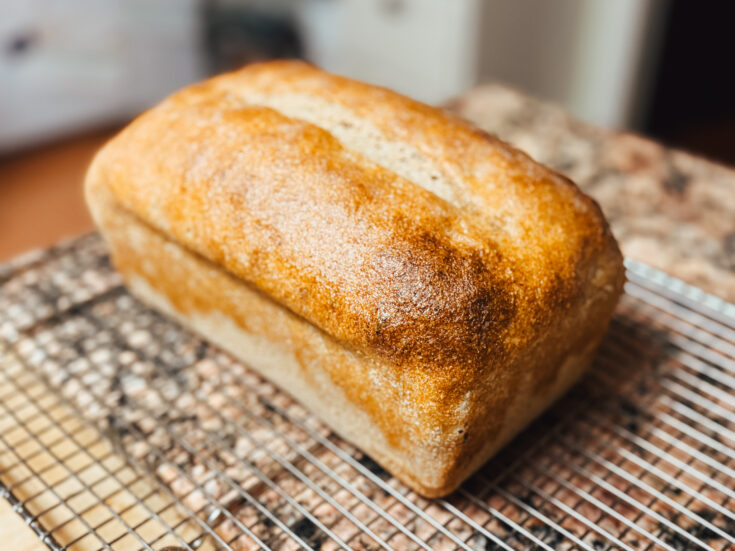 Simple Wild Yeast Sourdough Bread