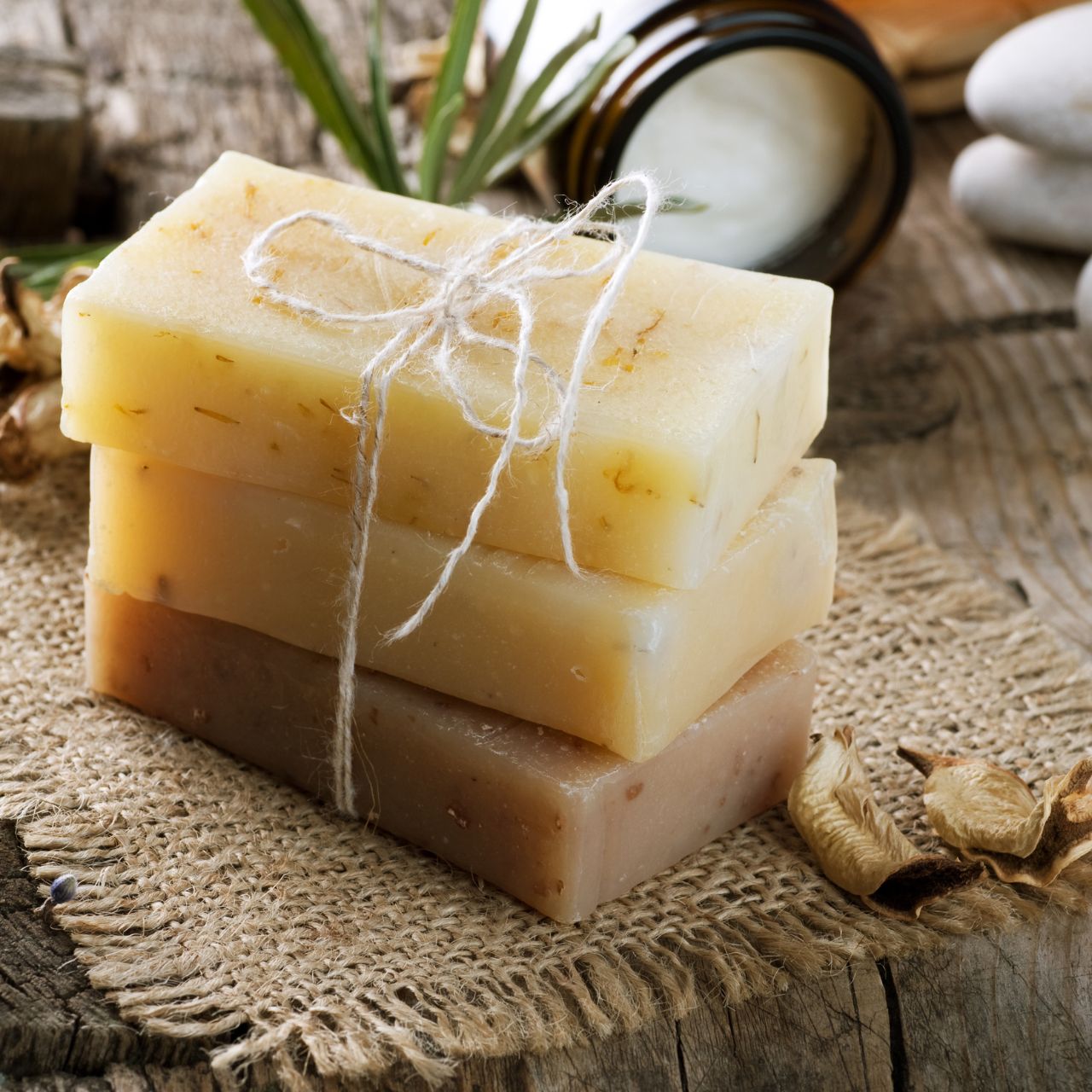 Shepherd's Sheep Milk Bar